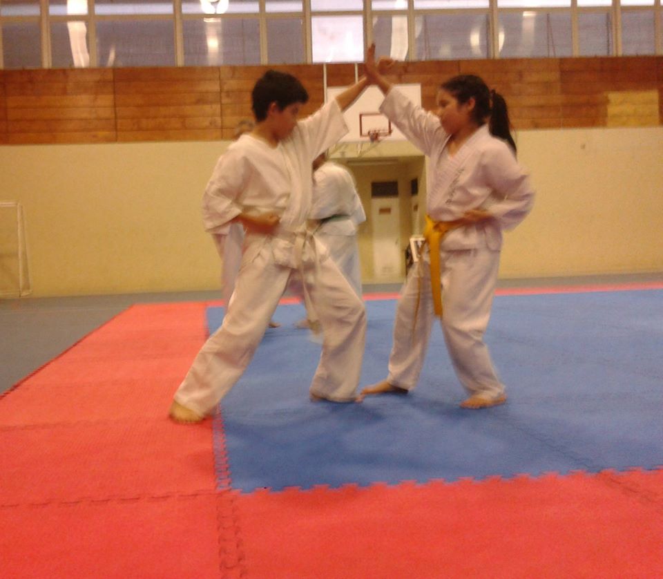 karate-infantil